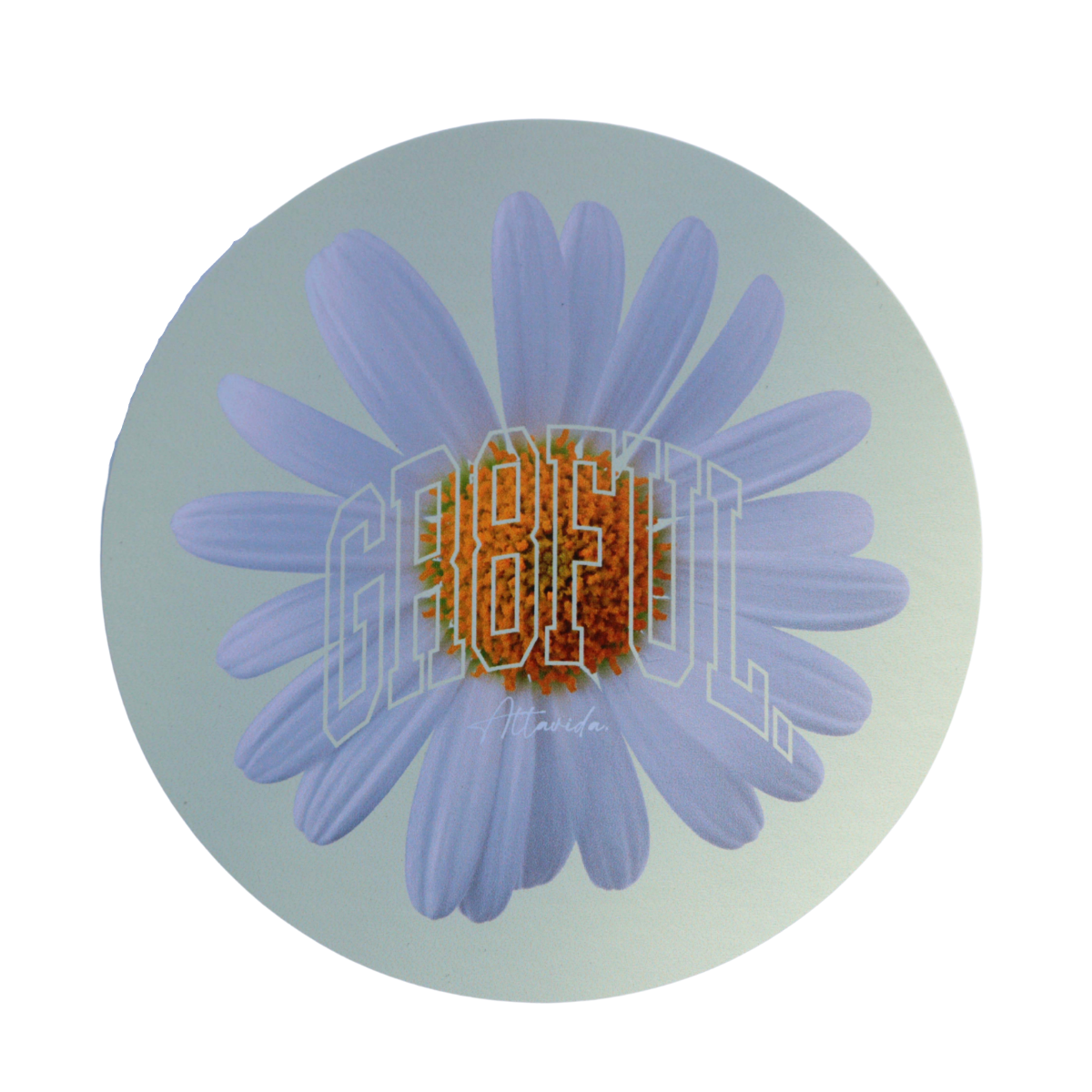 Daisy Grateful Sticker